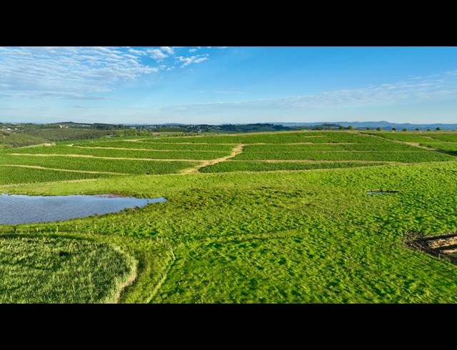 LAND FOR SALE IN MOUNT VERDE